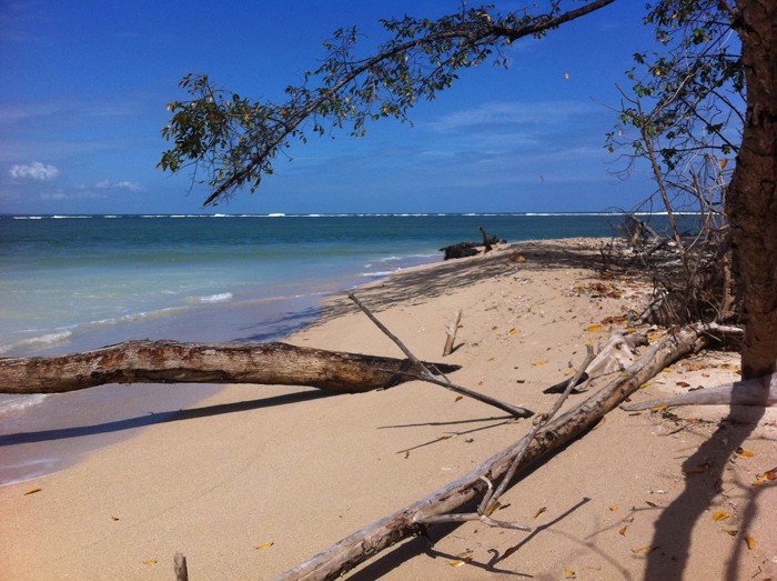 Life's a beach.