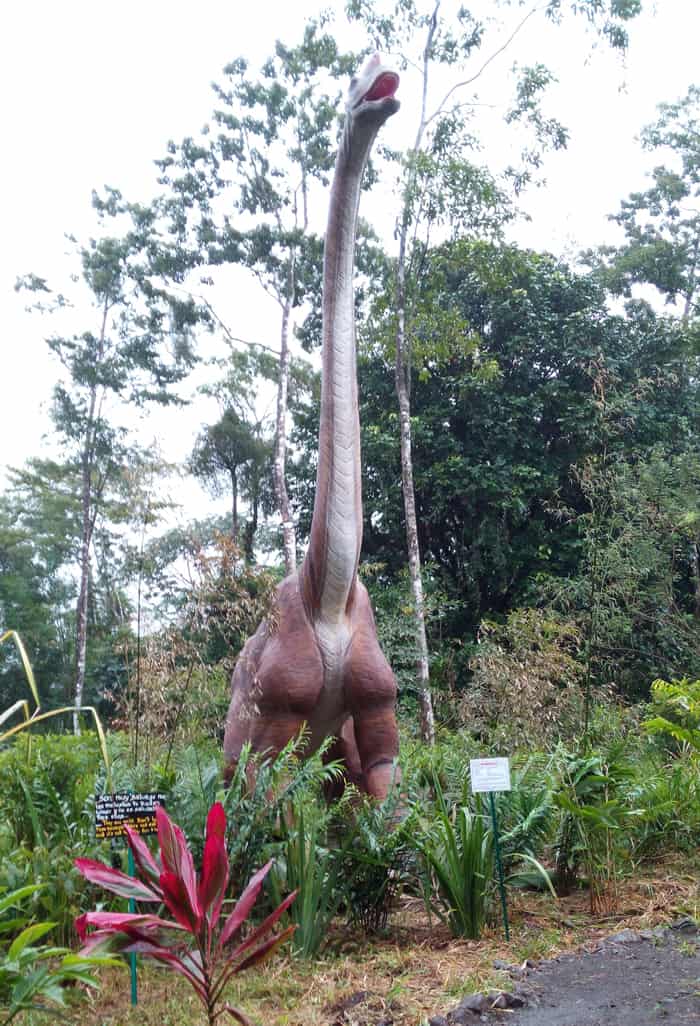 Brachiosaurus.