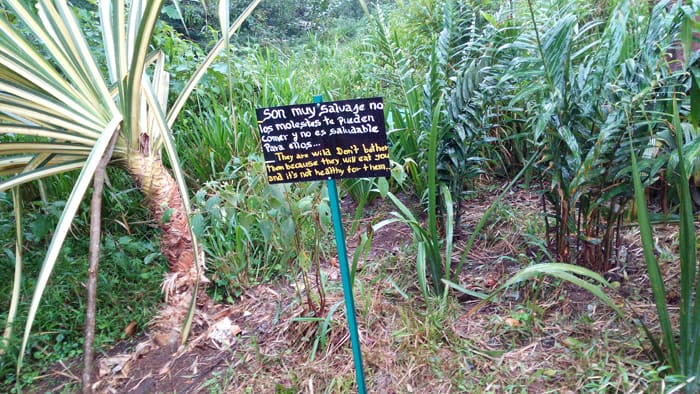 Sign: "Don't bother them because they will eat you and it's not healthy for them." (Or you.)