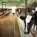 Costa Rica exports down 15 percent in 2015, mostly thanks to Intel exit