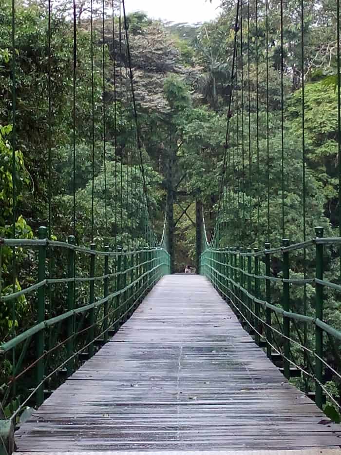 Hanging bridge across the Río Puerto Viejo.