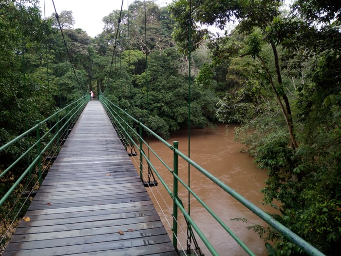 Río Puerto Viejo viewed from hanging bridge.