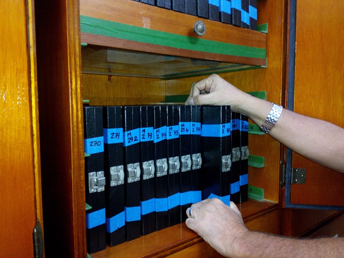 Cases containing tens of thousands of midges mounted on slides.