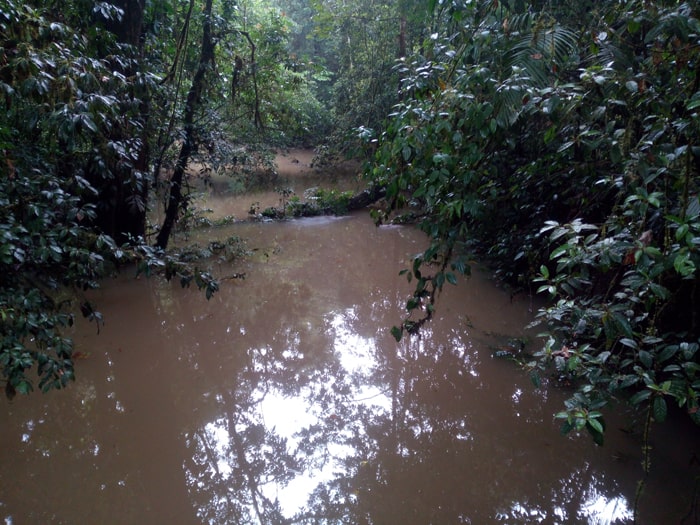 Like to go swimming? No, thanks.