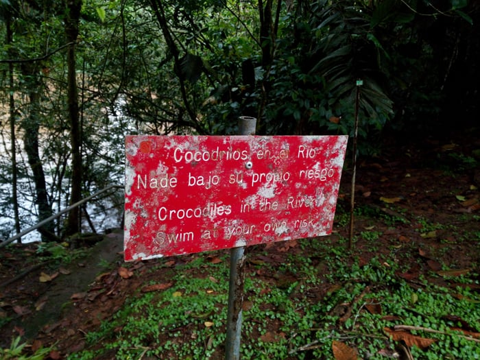 Swim at your own risk.