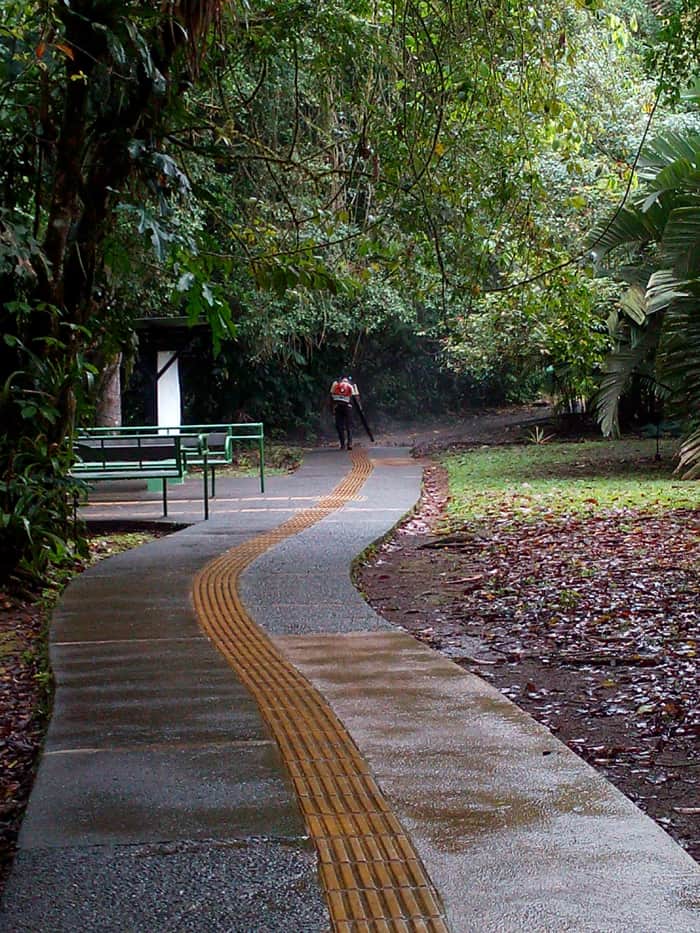 Leaf blower in paradise? Concrete trail at La Selva designed for disabled access.