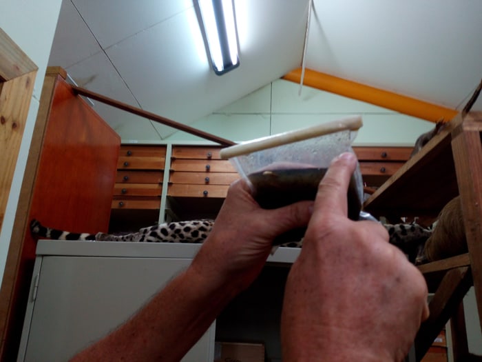 The "soup" collected from rivers from which researchers extract the skins of midges.