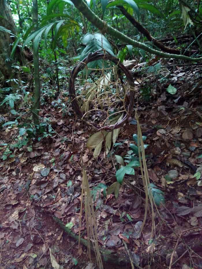 This random dream catcher reminded me eerily of "The Blair Witch Project."