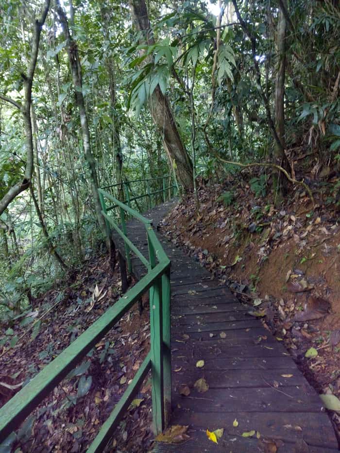 Walk this way.