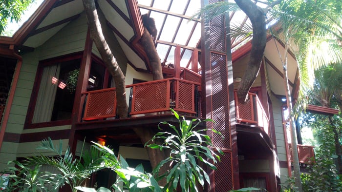 Bosque del Mar: Notice the tree trunk coming through the red lattice.