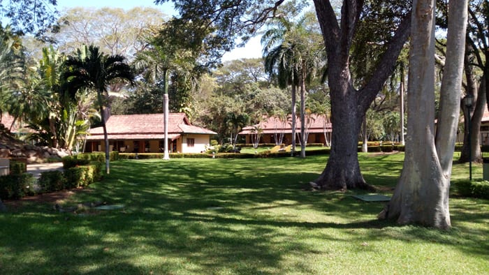 Grounds at Casa Conde.