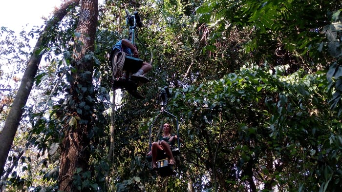 A father-and-child reunion, canopy-style.