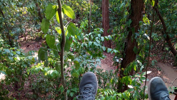 A view of my shoes.