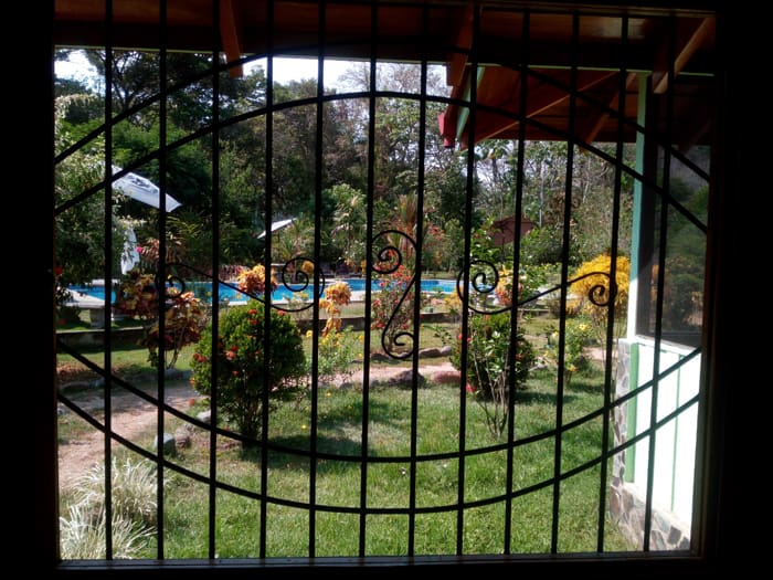 View from my window.