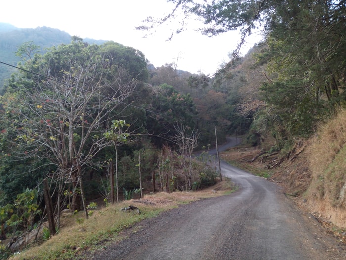 Bird-watching road in front of El Toucanet.
