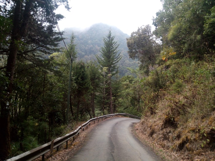 Mendocino County? No, road to San Gerardo de Dota.