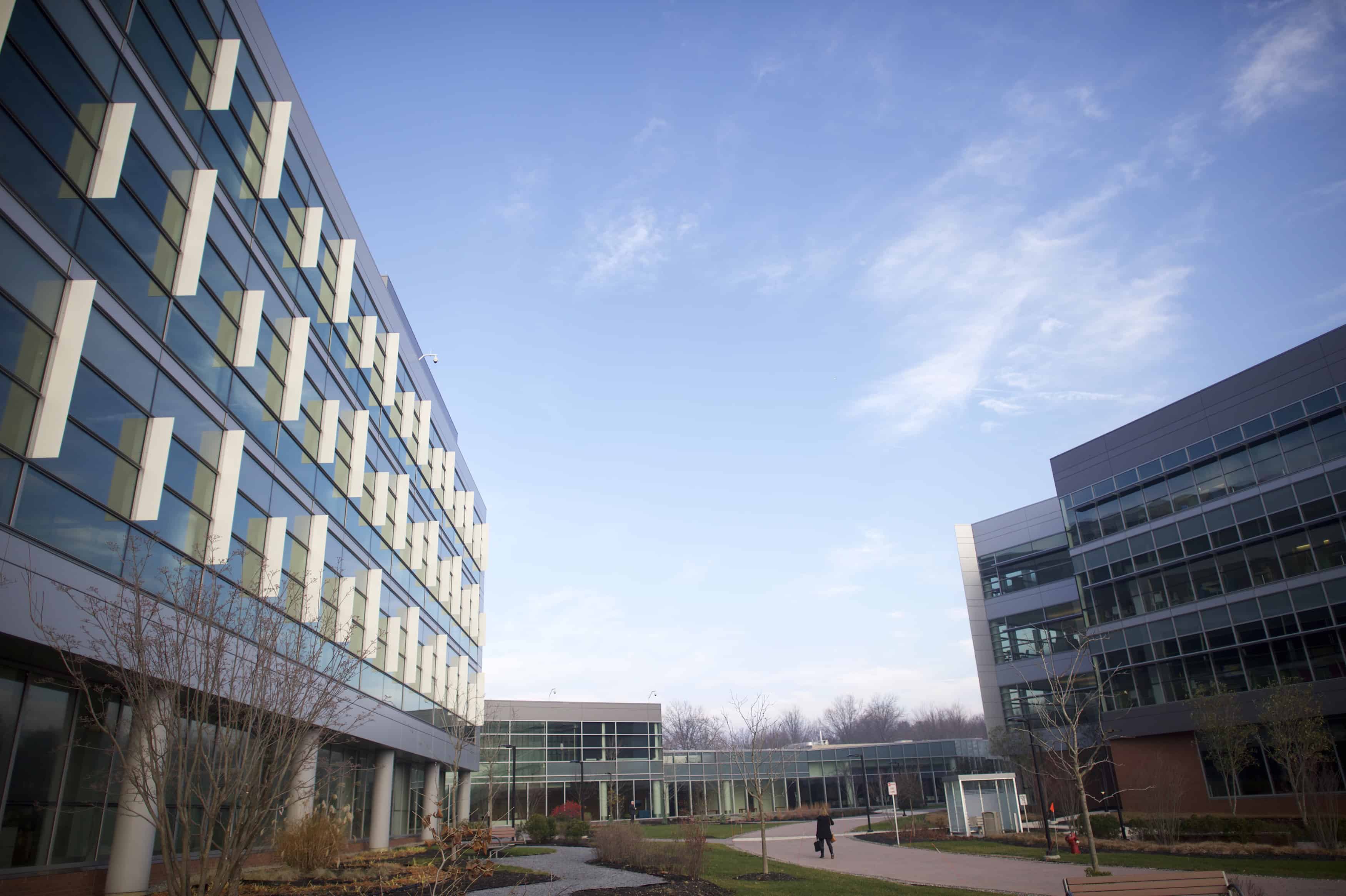 The U.S. is one of the world’s biggest tax havens The Tico Times