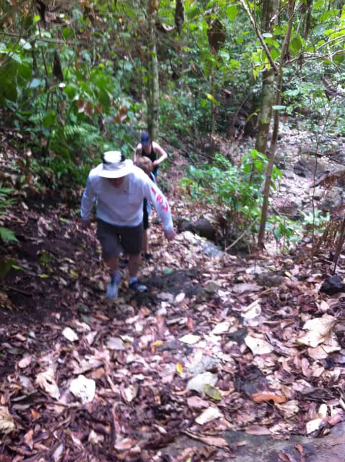 Murphy & Co. tackle a trail in Matapalo.