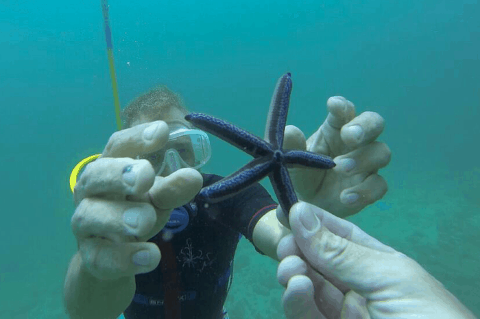Damon is handed a starfish.