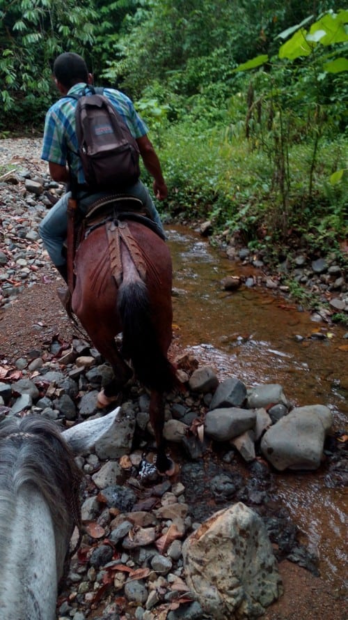 Don Gerardo leads the way down the creek for the final stretch.