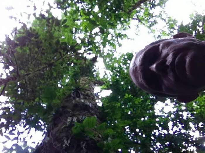 Heart of darkness: Self-portrait with big tree.