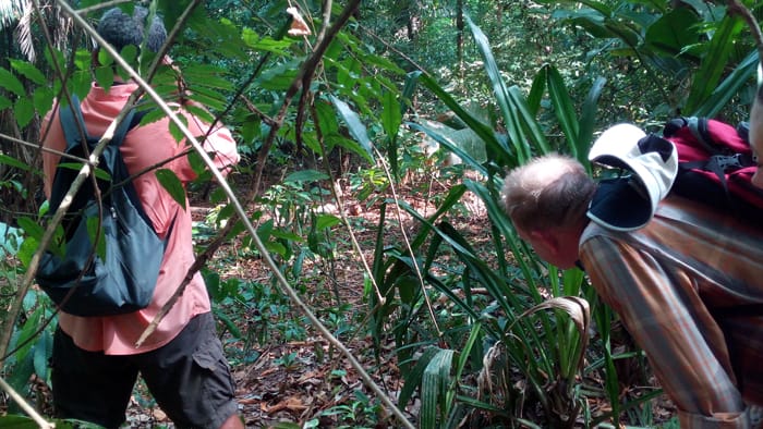 Fernando and Murphy spot an agouti.