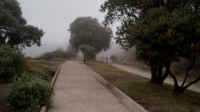 The approach to the viewing area.
