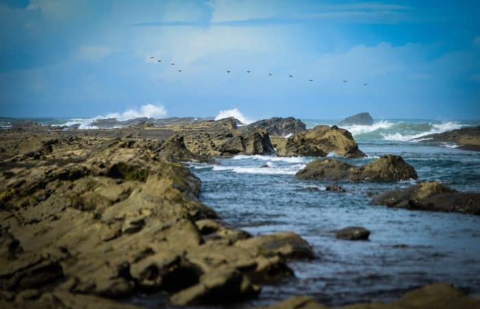 Lindsay Fendt/The Tico Times