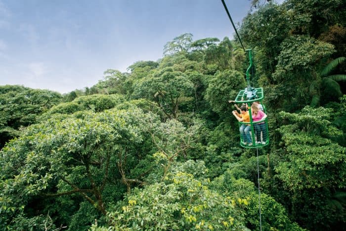 Visitors ride the tram at Rainforest Adventures.