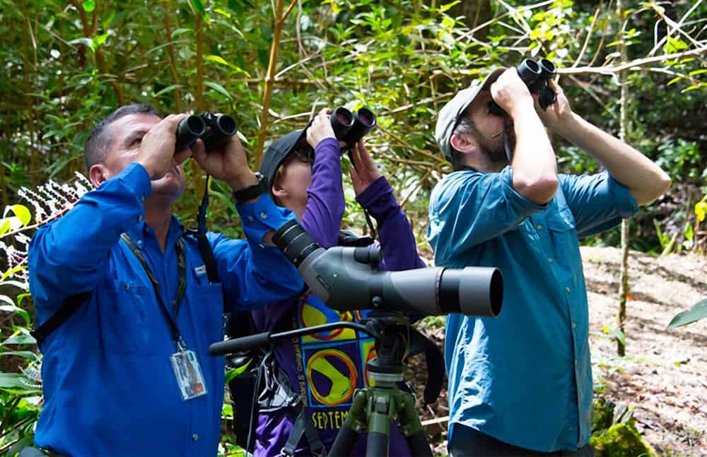 ICT research found that there are 9 million people enrolled in birding associations worldwide and just over 3 million of them travel abroad.