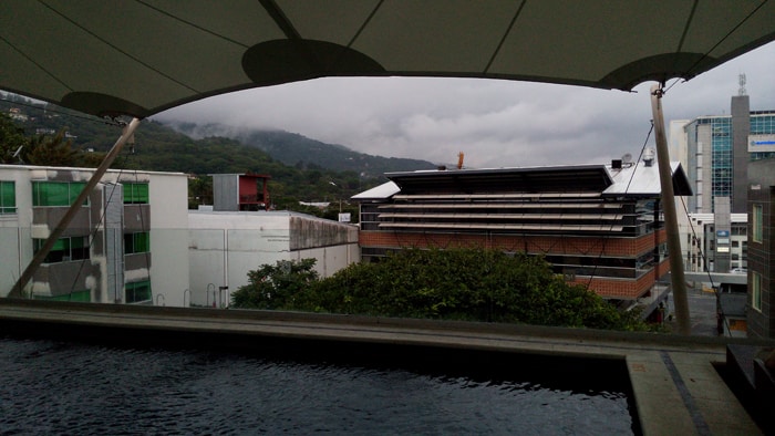Rooftop pool at the Studio Hotel.