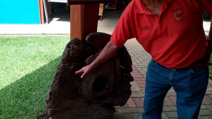 A very old wheel that eroded unevenly and became oval.