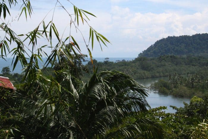 Sierpe River and coast