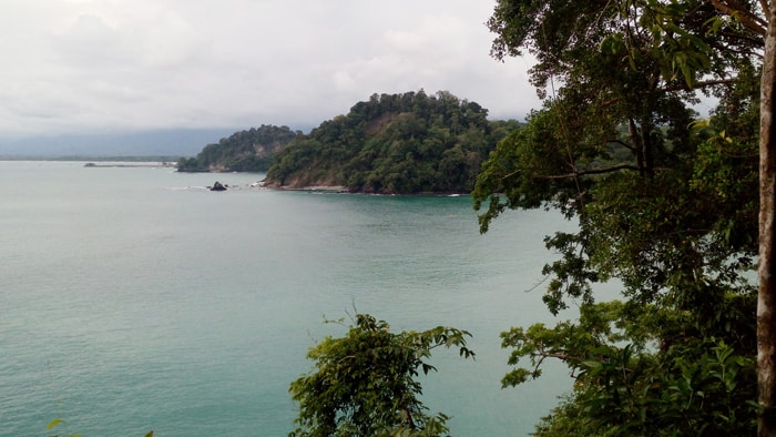 View of the coastline from the trail.