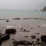 In search of new horizons and old turtle traps in Manuel Antonio