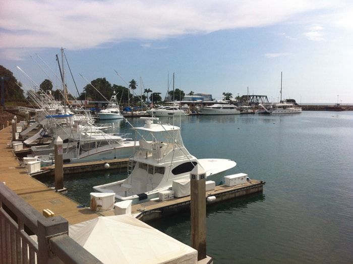 Slips at Marina Pez Vela were about 90 percent occupied in September.