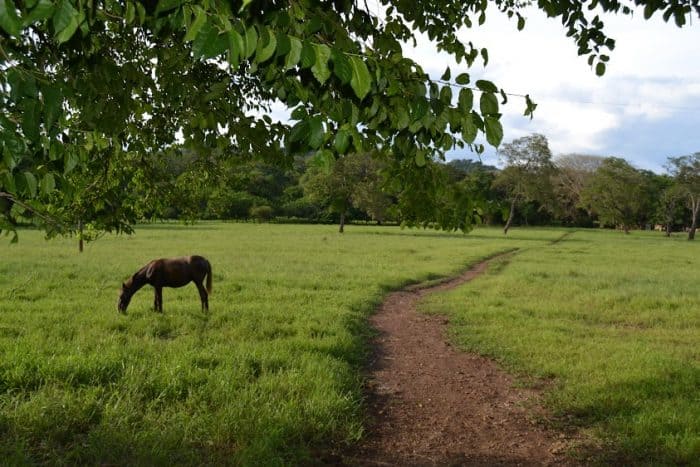 Depending on seasonal crops, local farm tours are available throughout the island.