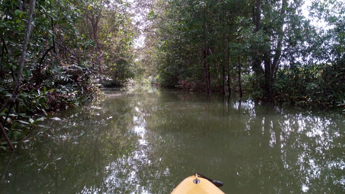 Yellow kayak, green river.
