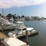 Marina Pez Vela sailed a rough sea to calmer waters