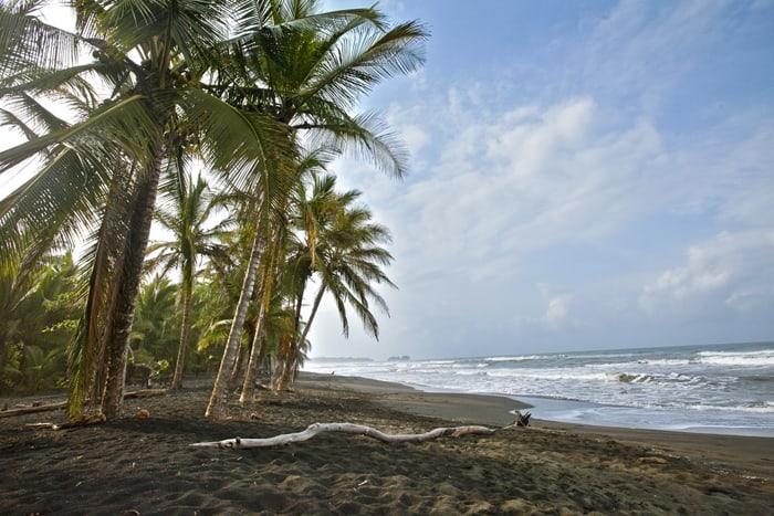Morning sun greeted us as we walked along the palm-studded beach.