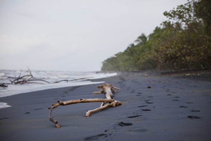 A wilderness walk on the beach, on the way to the lagoon.