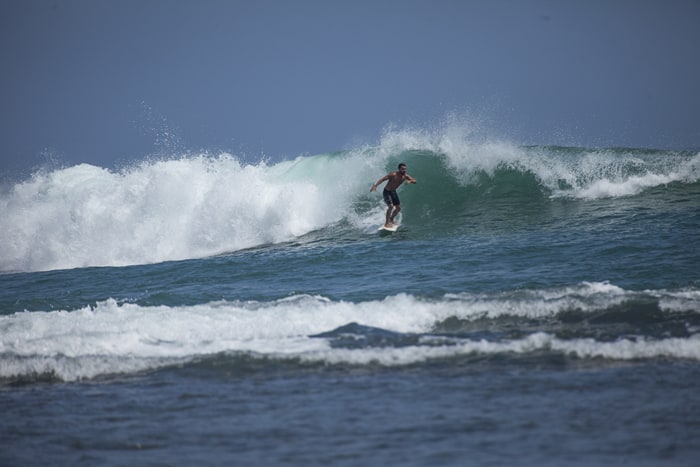 A surfer catches a wave in Puerto Viejo.