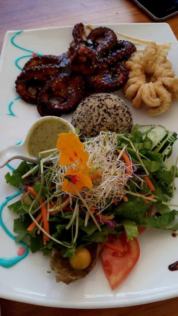 Caramelized octopus and deep-friend calamari at Z Gastro Bar.