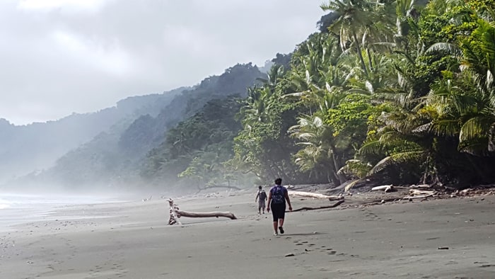 A three-kilometer beach hike separates La Leona Lodge (and adjacent Corcovado ranger station) from Carate.