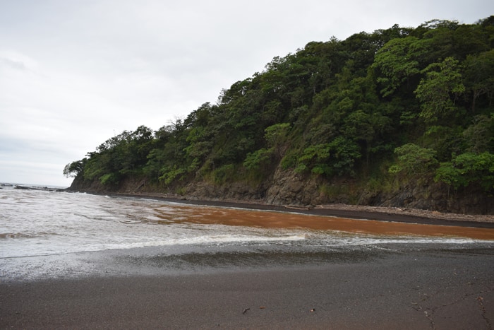 The ocean at the mouth of the Río Ora is brown from runoff from recent rains.