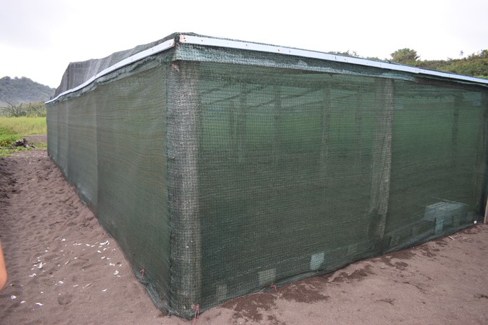 The Camaronal turtle hatchery, where eggs found on the beach are reburied.