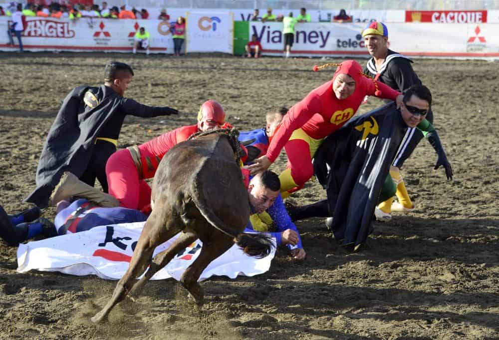 Bullfighting ‘a La Tica The Controversial End Of Year Tradition In
