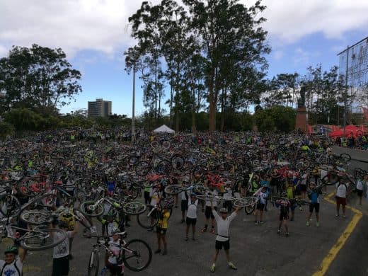 Road safety in Costa Rica: the law of the jungle must rule no more