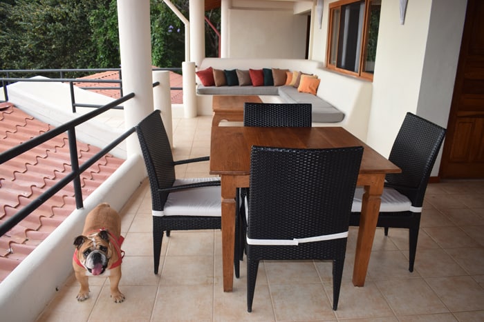 A deck at Tierra Magnifica, with one of three resident bulldogs.