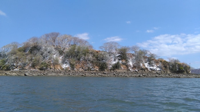 The Costa de Pájaros gets its name from the birds that congregate here, leaving behind their tell-tale white trace.